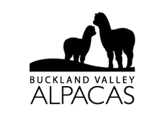 Buckland Valley Alpacas